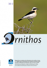 couverture ornithos